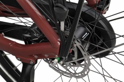 Batavus Altura E-go Power Pro Dames Mahonierood Div. Maten 2025