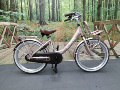 Alpina Fiets Alpina Clubb 20 Meisjes Roze 31cm 2023