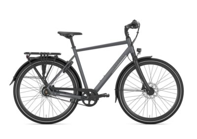 Gazelle Chamonix S11 Heren Cloud Grey Mat Div. Maten 2025