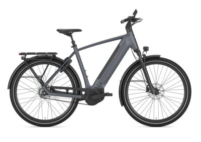 Gazelle Ultimate C5+ Heren Meteor Grey Mat Div. Maten 2026