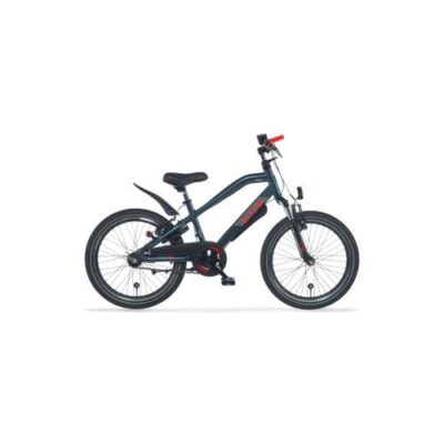 Alpina Fiets Alpina Trial J20 Jongens Blauw 31cm 2025