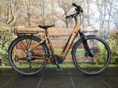 Besv Tr 1.3 Dames Monotube Bruin 50cm