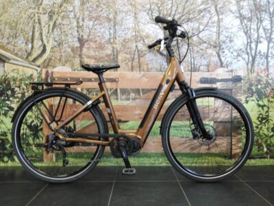 Besv Tr 1.3 Dames Monotube Bruin 50cm