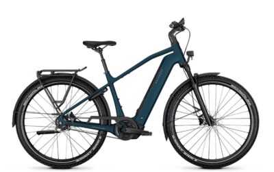 Kalkhoff Entice 3 Excite Belt Heren Darksprings Matt 53cm L 2026