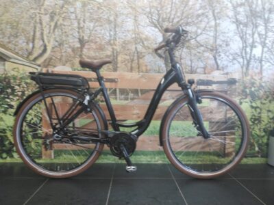 Riese Und M&uuml;ller Swing Dames Zwart 57cm