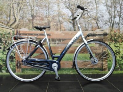 Giant Chill Cs 2 Lds L/55 Blaz Dames Monotube Zilver/blauw 55cm