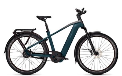 Kalkhoff Entice 5+ Advance Belt Heren Darksprings Matt Mat 58cm 2026