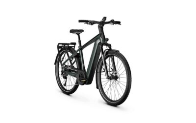 Kalkhoff Endeavour 5+ Advance Heren Techgreen / Diamondblack Gloss L-xxl 2026