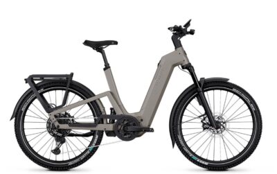 Kalkhoff Entice 7+ Excite Abs Dames Moonstonegrey Matt Mat 45cm S 2026