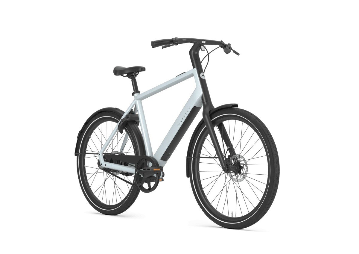 Gazelle Curb C1 Heren Platinum White Glans Div. Maten 2027