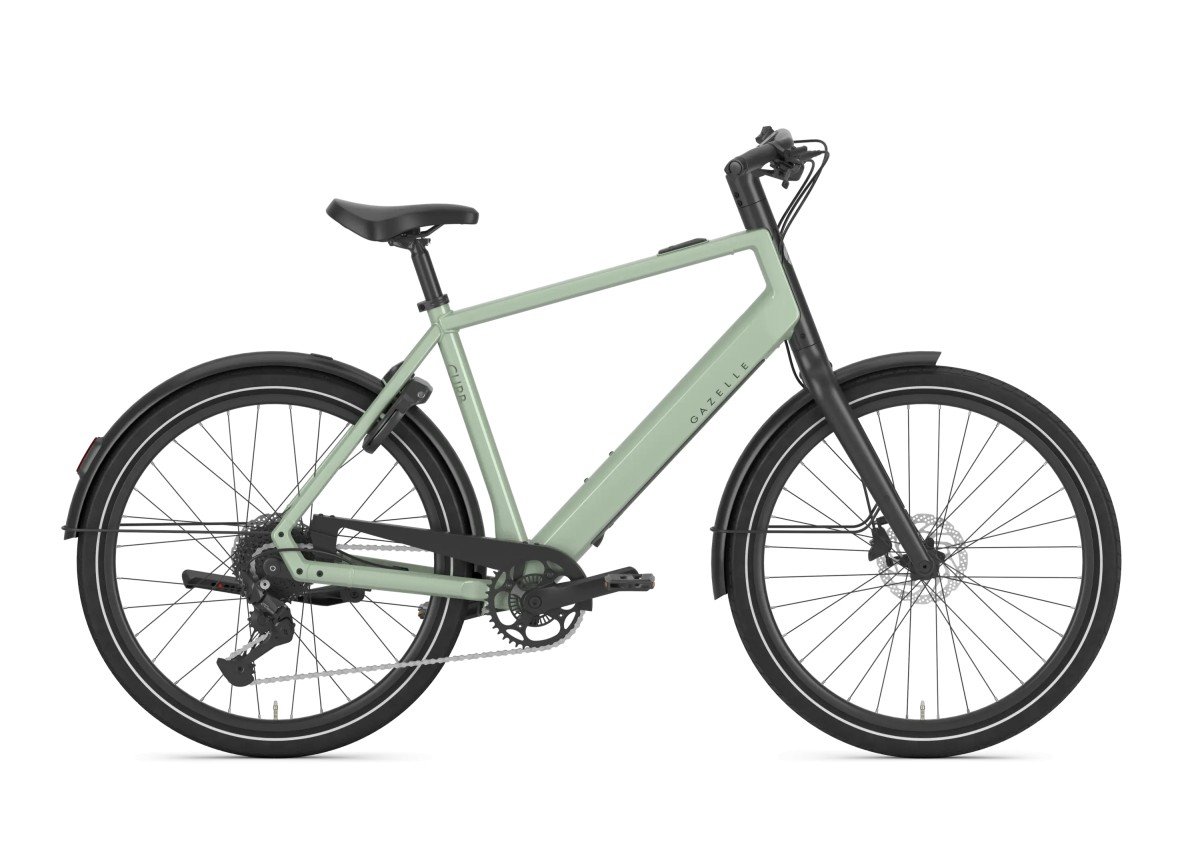 Gazelle Curb T9 Heren Pistache Green Glans Div. Maten 2027